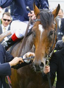 Master joins Rip in QEII field