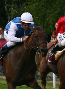 Head's belief in Goldikova