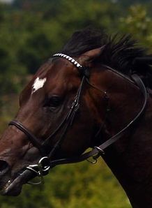 Ialysos gets back on track