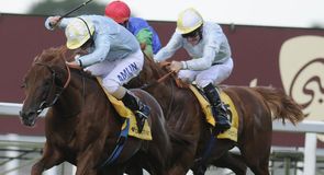 King George Day - Ascot