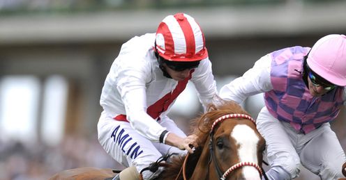 Nideeb Ascot