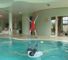 Summer Slam!
