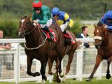 Shakespearean (IRE)