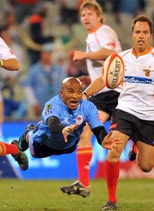 Cheetahs beat bulls cc2009