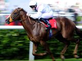 Angel's Pursuit (IRE)