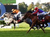 Electrolyser (IRE)