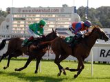Hintsnallegations (IRE)