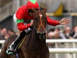 Lucky General (IRE)