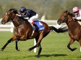Rip Van Winkle (IRE)