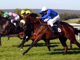 Vale Of York (IRE)
