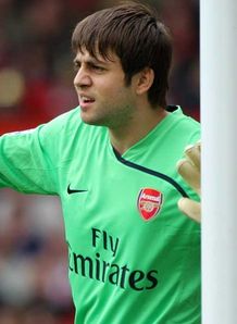 Fabianski out for three weeks