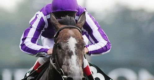Mastercraftsman: decent bet
