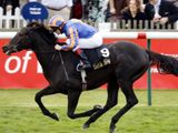 Lillie Langtry (IRE)