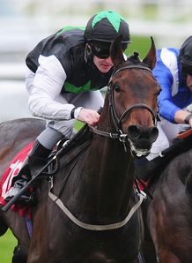 Donny delight for Antoniola