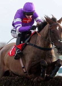 Nicholls cool on Denman chances