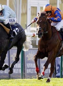 Tango shows Steele for Teal