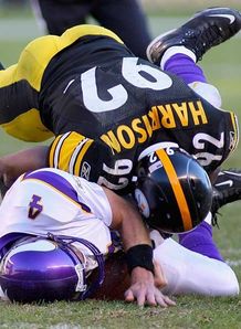 Pitt stop slows down Vikings