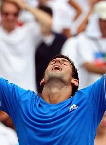 Djokovic hammers Hernych