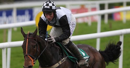  Dunguib - Punchestown - April 2009