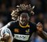 Wasps v Gloucester: Teams