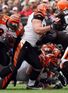 Bengals busted