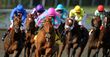 Breeders Cup Day One