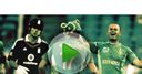 Cricket highlights