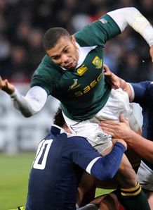 Habana cleared for Boks