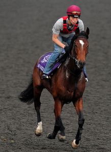 Ballydoyle ace ready to Rip