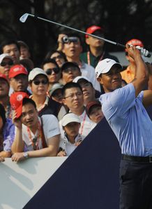 Tiger glides into a share