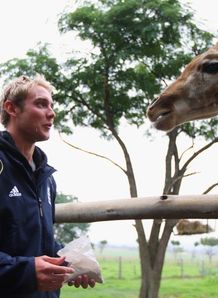Broad back in training