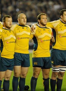 wallabies