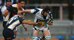 Sharks' brutal late bite