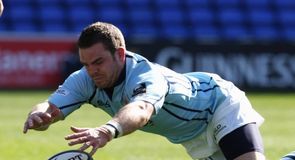 Harlequins v Scarlets: Teams