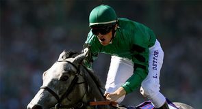 �5,000 Breeders Cup Tipster