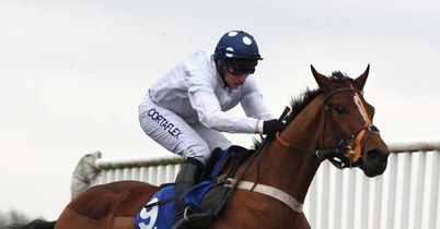 SKY_MOBILE Harry Tricker