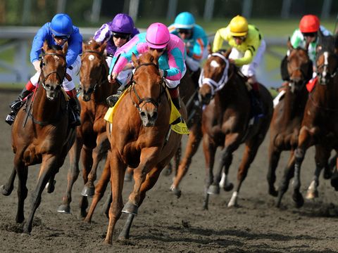 Man Of Iron chases the leaders into the straight in the opening Marathon.