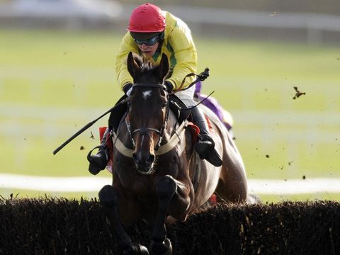 Punchestown and Sizing Europe clears the last...