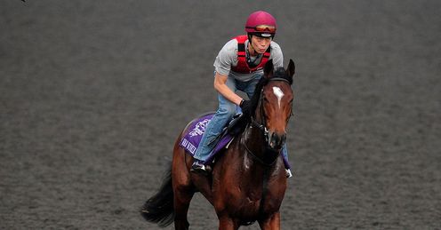 Rip Van Winkle Santa Anita