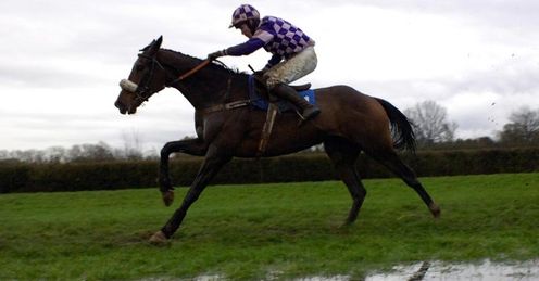  Waterlogged racehorse