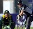 McCullum ton levels series