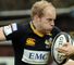 Gloucester stung by Wasps