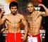 Boxing Highlights