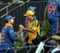 Series triumph delights Ponting