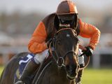 Long Run (FR)