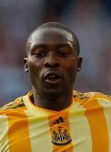 Levein eyed Ameobi call-up