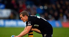 Wasps edge dead rubber