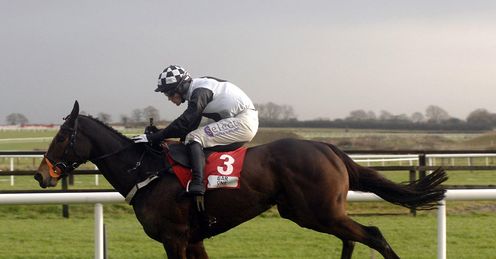 Dunguib Royal Bond