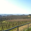 The pictures were taken on one of Dario's typical training rides in the beautiful Chianti area