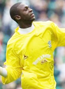 Swans look at keeper